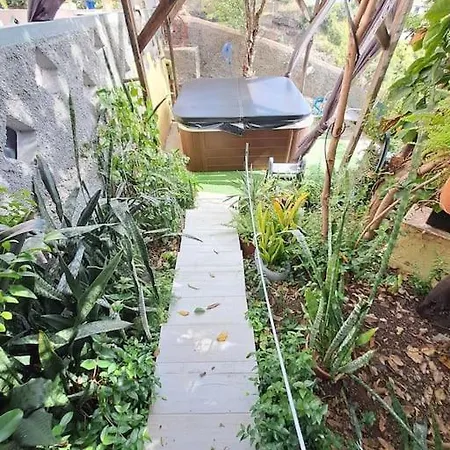 Vakantiehuis Granny House Madeira Funchal (Madeira)